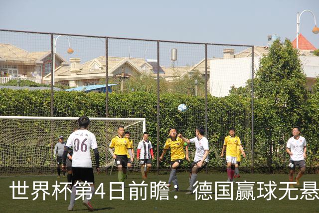 世界杯第4日前瞻：德国赢球无悬念 荷日激情对话有看点