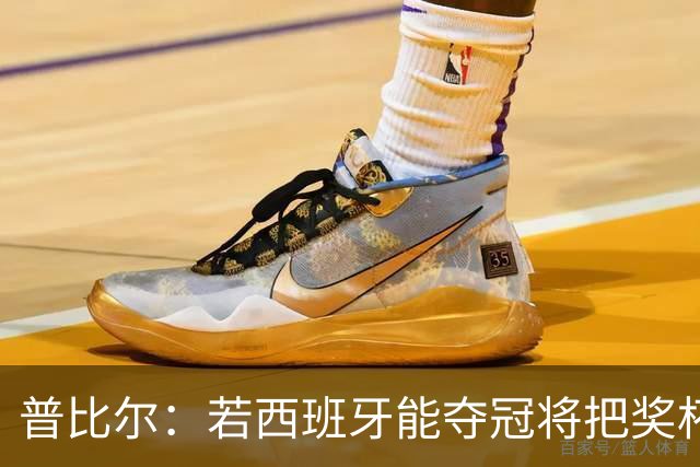普比尔：若西班牙能夺冠将把奖杯纹在身上 葡萄牙不好对付
